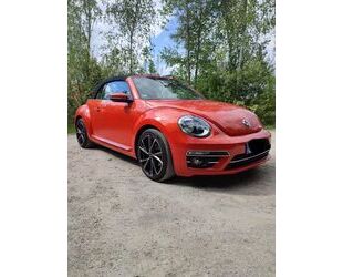 VW Beetle Gebrauchtwagen