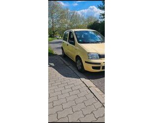 Fiat Panda Gebrauchtwagen