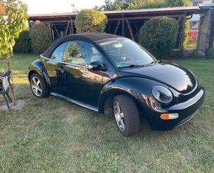 VW Beetle Gebrauchtwagen