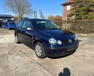 VW Polo Gebrauchtwagen