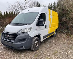 Fiat Ducato Gebrauchtwagen