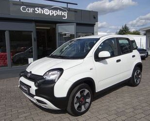 Fiat Panda Gebrauchtwagen