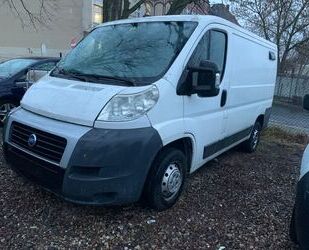 Fiat Ducato Gebrauchtwagen