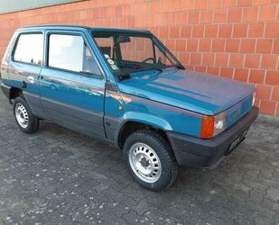 Fiat Panda Gebrauchtwagen
