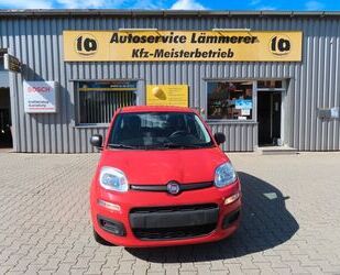 Fiat Panda Gebrauchtwagen