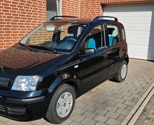Fiat Panda Gebrauchtwagen