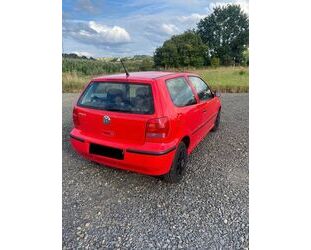 VW Polo Gebrauchtwagen