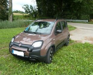 Fiat Panda Gebrauchtwagen