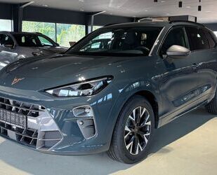 Cupra Terramar Gebrauchtwagen