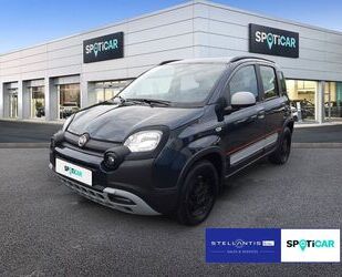 Fiat Panda Gebrauchtwagen