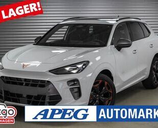 Cupra Terramar Gebrauchtwagen