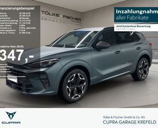 Cupra Terramar Gebrauchtwagen