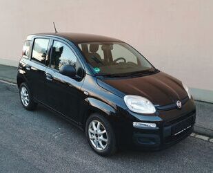 Fiat Panda Gebrauchtwagen