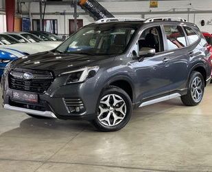 Subaru Forester Gebrauchtwagen