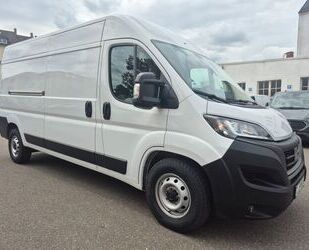 Fiat Ducato Gebrauchtwagen