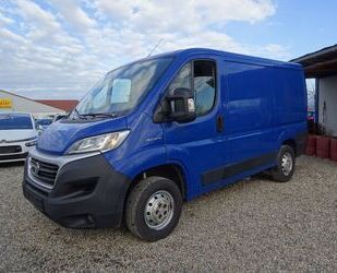 Fiat Ducato Gebrauchtwagen