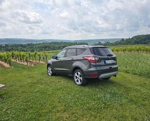 Ford Kuga Gebrauchtwagen
