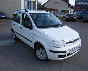 Fiat Panda Gebrauchtwagen