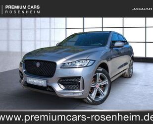 Jaguar F-Pace Gebrauchtwagen