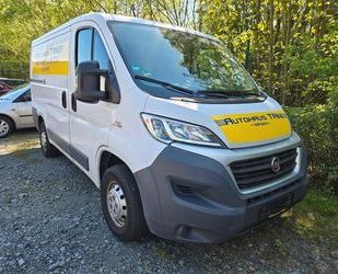 Fiat Ducato Gebrauchtwagen