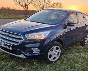 Ford Kuga Gebrauchtwagen