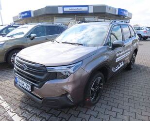 Subaru Forester Gebrauchtwagen