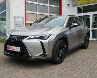 Lexus UX Gebrauchtwagen