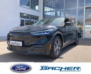 Ford Mustang Mach-E Gebrauchtwagen