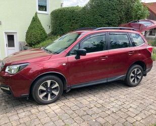 Subaru Forester Gebrauchtwagen
