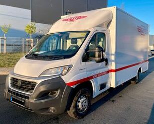 Fiat Ducato Gebrauchtwagen