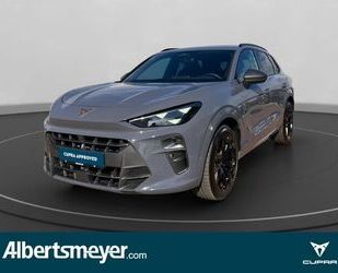 Cupra Terramar Gebrauchtwagen