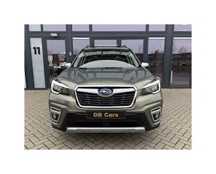 Subaru Forester Gebrauchtwagen