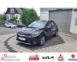 Kia Stonic Gebrauchtwagen