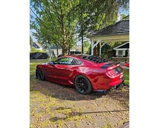 Ford Mustang Gebrauchtwagen