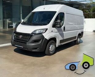 Fiat Ducato Gebrauchtwagen