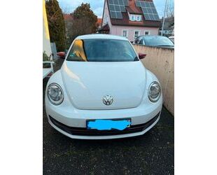 VW Beetle Gebrauchtwagen
