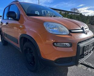 Fiat Panda Gebrauchtwagen
