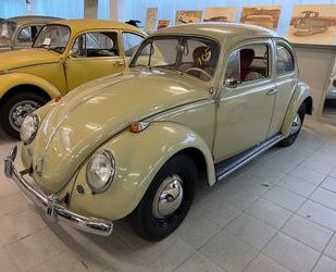 VW Käfer Gebrauchtwagen