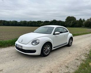 VW Beetle Gebrauchtwagen
