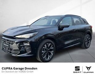 Cupra Terramar Gebrauchtwagen