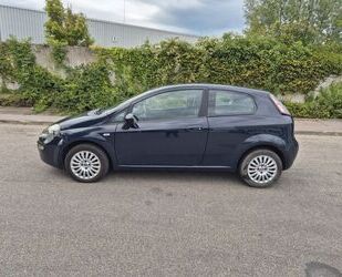 Fiat Punto Evo Gebrauchtwagen