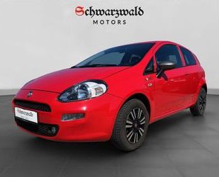 Fiat Punto Gebrauchtwagen