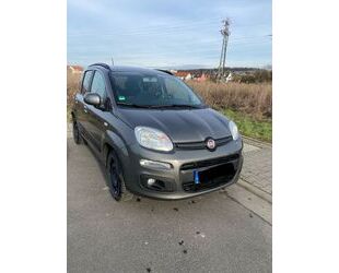 Fiat New Panda Gebrauchtwagen