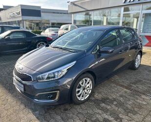 Kia ceed / Ceed Gebrauchtwagen