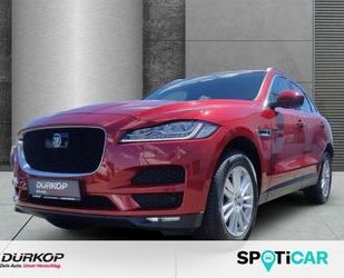 Jaguar F-Pace Gebrauchtwagen