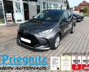 Mazda 2 Hybrid Gebrauchtwagen