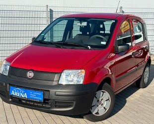 Fiat Panda Gebrauchtwagen
