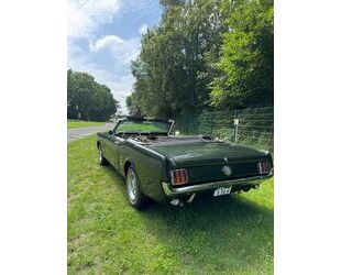 Ford Mustang Gebrauchtwagen