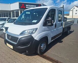 Fiat Ducato Gebrauchtwagen