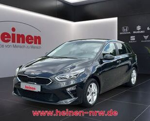 Kia ceed / Ceed Gebrauchtwagen